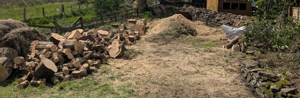 Contact Sorbus Arboriculture